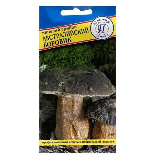 Мицелий грибов ТероПром 5454237 Австралийский боровик, 50 мл 196р