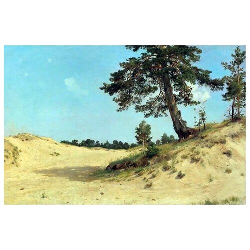 ����������� �� ������ ����� �� ����� (Pine on the sand) ������ ���� 45��. x 30��. 1340�