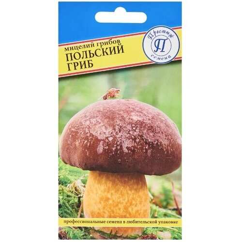 Мицелий грибов гриб Польский 449р