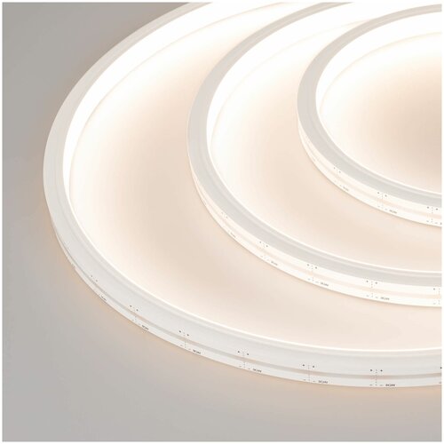   MOONLIGHT-TOP-M252-13x12mm 24V White-MIX (12 W/m, IP67, 2216, 5m, Wire x1) (Arlight, 12 /, IP67) 16497