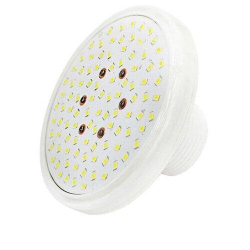   Aquaviva LED028, 99 , 6-7 , 12  (  ),  -  1  10306