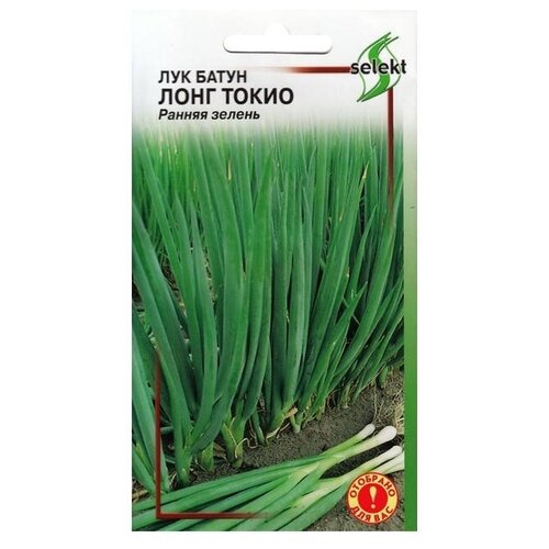 Семена Лук батун Лонг Токио 80шт для дачи, сада, огорода, теплицы / рассады в домашних условиях 376р