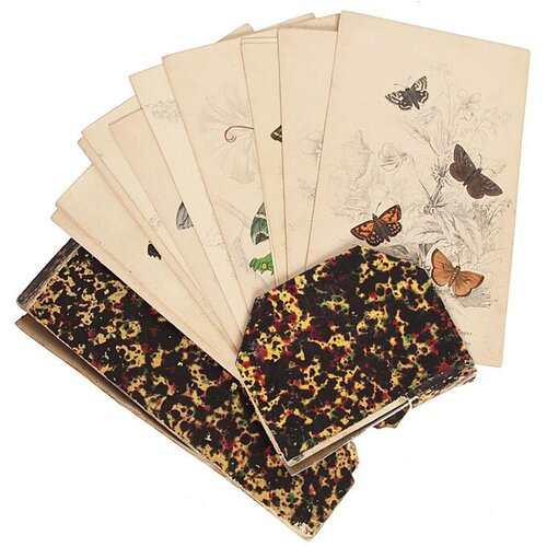 Виды бабочек. Комплект из 34 гравюр в оригинальном футляре. Западная Европа, ручная раскраска, конец XIX века 148715р