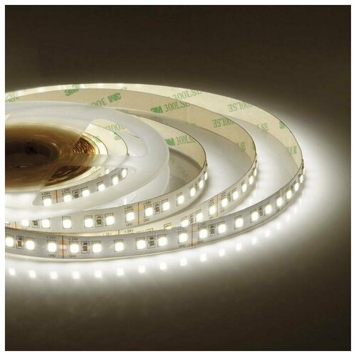 C  Apeyron Electrics 5 , IP20, SMD2835, 120 LED/, 16 /, 24 , 4000 2808