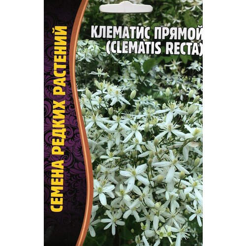   Clematis recta,  ( 1 : 5  ) 199