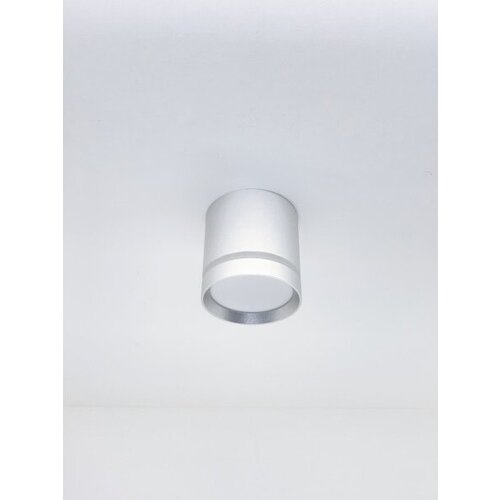    Elegant DZN-10253 SILVER/ D84/H87/1/LED/12W 5000-5500K 1850