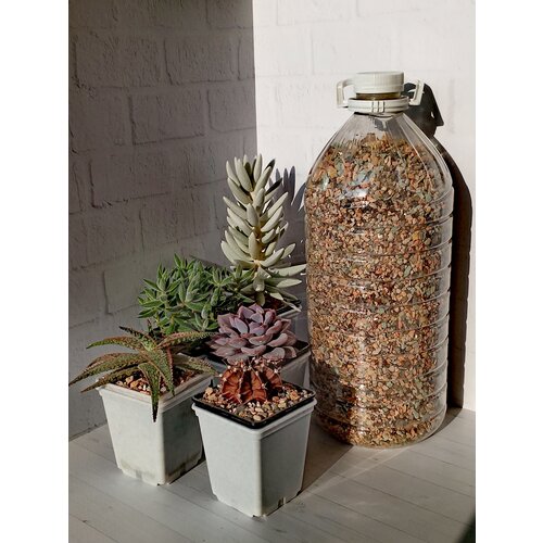      Succultura 3 . 495