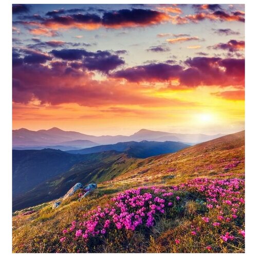         (Flowers in the mountains at sunset) 3 50. x 54. 2090