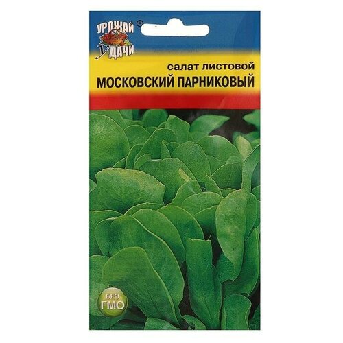 Семена Салат Московский парниковый лист.,0,5 гр 130р