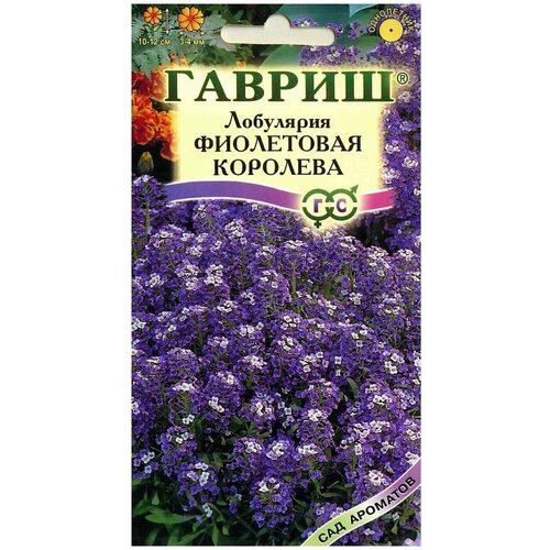 Семена Лобулярия Фиолетовая Королева 0,2г для дачи, сада, огорода, теплицы / рассады в домашних условиях 376р