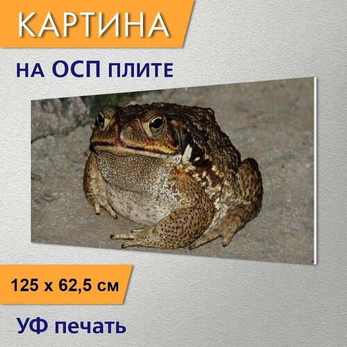 �������������� ������� 