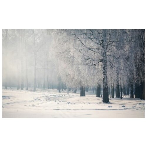 ������ �� ������ ������ ��� (Winter forest) �3 64��. x 40��. 2060�