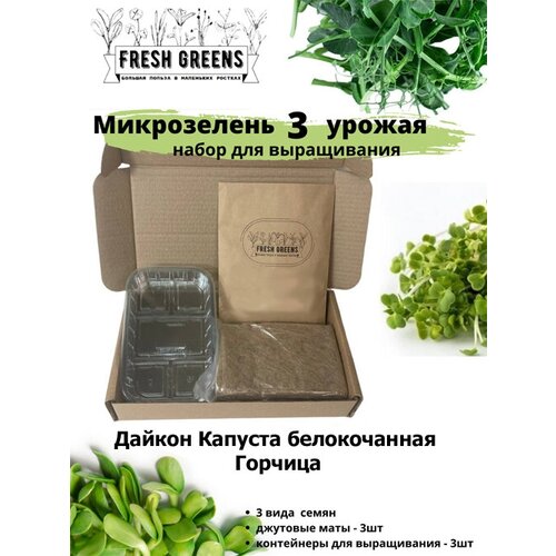 Микрозелень для выращивания Набор Fresh Greens (Дайкон Капуста белокочанная Горчица) 386р