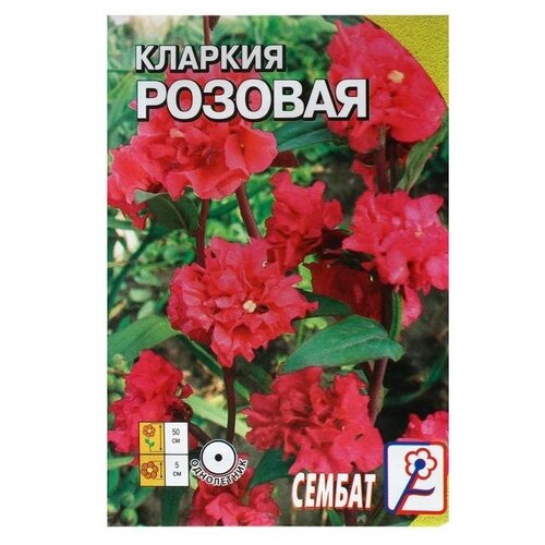 Семена цветов Кларкия Розовая, 0,2г 30р