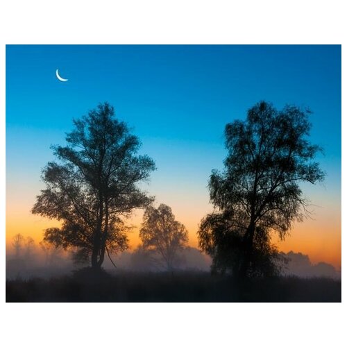 ������ �� ������ ����� � ���� (Fog in the forest) �3 52��. x 40��. 1760�
