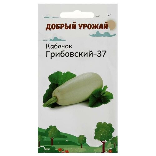 Семена Кабачок Грибовский-37 1 гр 22р