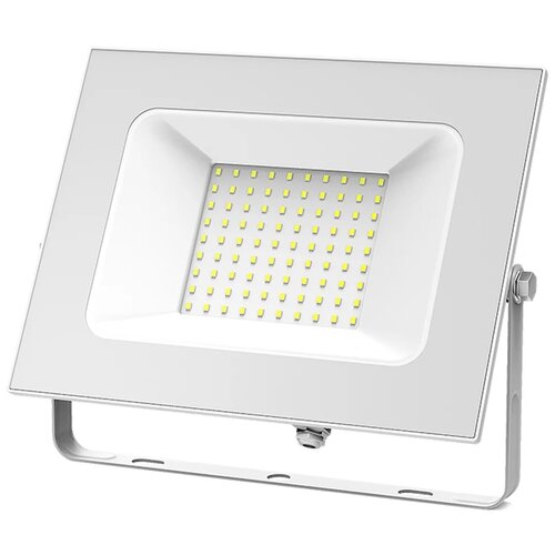   Gauss LED IP65 100W 6500  613120300 2850