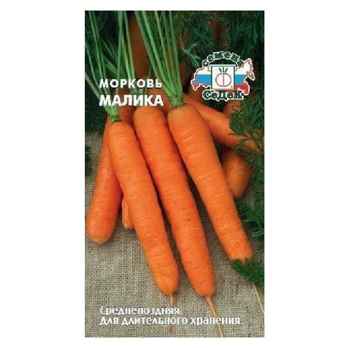 Семена Морковь Малика 2г для дачи, сада, огорода, теплицы / рассады в домашних условиях 376р