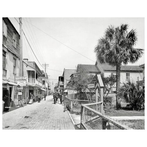        (Street in Florida) 38. x 30.,  1200   