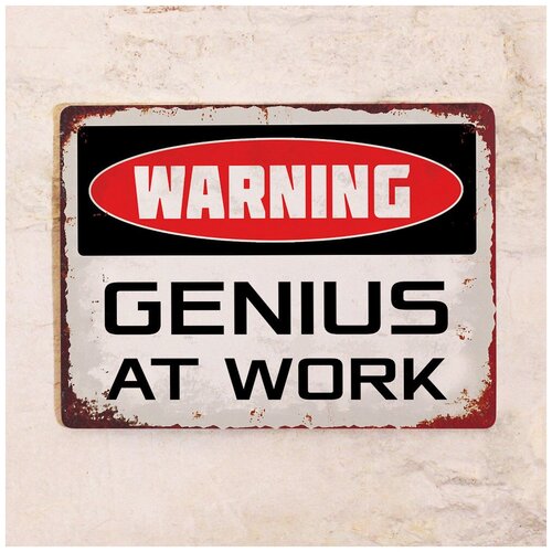    Genius at work, , 2030 .,  842   