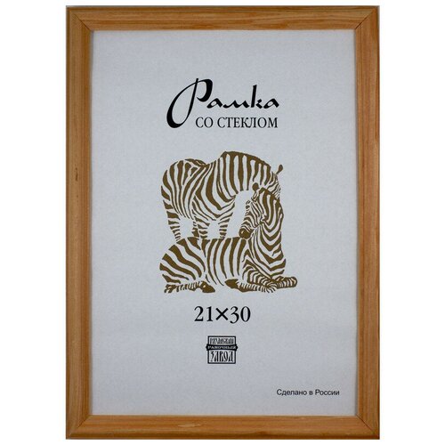  Zebra  3040  (1701) ,  484  Zebra