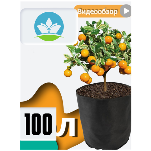     Bag Pot Eco 100 ,    grow bag  , ,  660