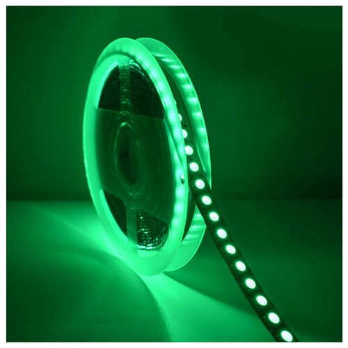    SMD 5050, 120 /, , , 12 , : RGB, IP33,  3600  Clever-light