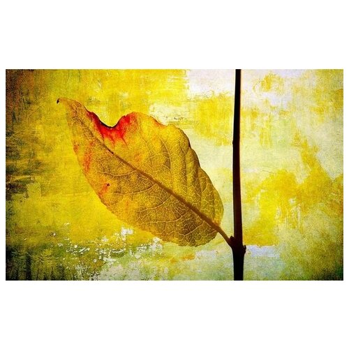      (Leaf) 64. x 40.,  2060   