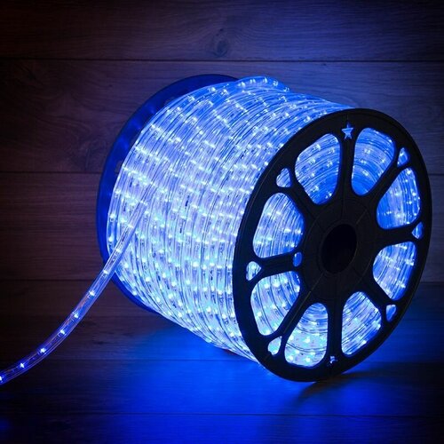     , , 24 LED/,  10, 100 ,   / , Neon-Night 14366