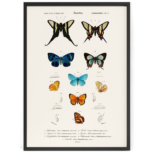 ������ �� ����� ���������� - ������ ���� ������ 70 x 50 �� � ������ 1250�