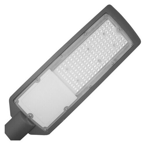     Foton Lighting FL-LED STREET-01 150 6500   57017065 d55 IP65 220-240,  3288  Foton Lighting