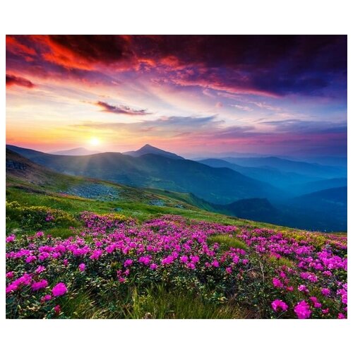       (Flowers in the mountains at sunset) 2 36. x 30. 1130