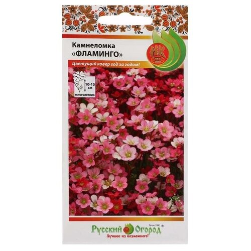 семена Камнеломка Фламинго, смесь 200 штук семян Русский Огород 650р