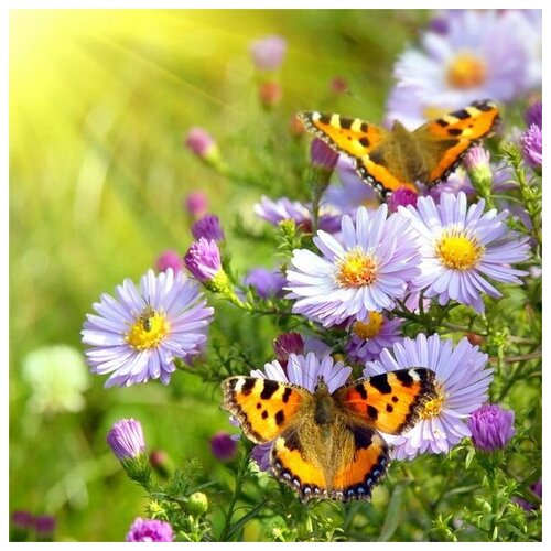       (Butterflies on flowers) 40. x 40. 1460
