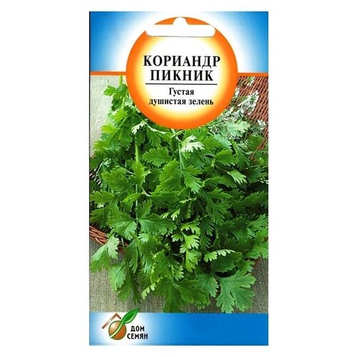 Семена Кориандр Пикник 90шт для дачи, сада, огорода, теплицы / рассады в домашних условиях 376р