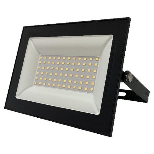   FOTON LIGHTING FOTON FL-LED Light-PAD 100W Black 4200 8500 100,  890  Foton Lighting