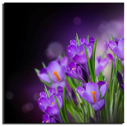 ������� �� ������ - 
