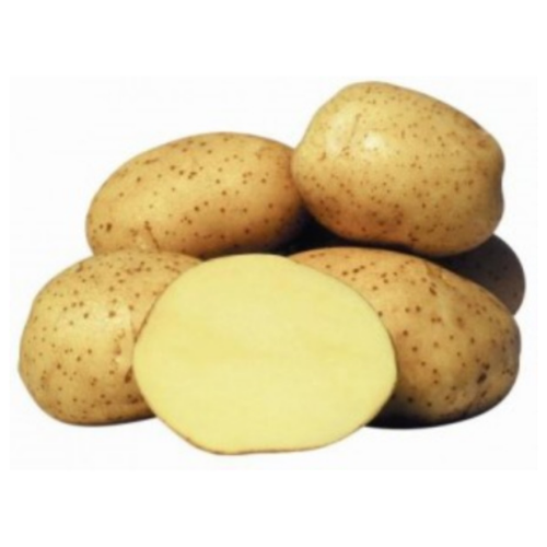 Семенной картофель гала (суперэлита) 899р