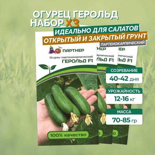 Семена огурцов:Герольд F1 / агрофирма партнер/ 3 упаковки по 5 штук. 899р