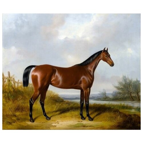      (Horse) 4 60. x 50.,  2260   