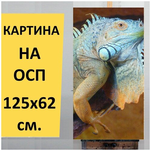 ������� �� ��� 