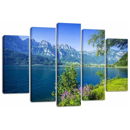 ��������� ������� Decorshop 247 ����� � ����� 80*125 �� 1790�
