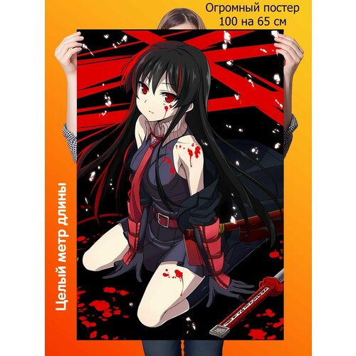   10070    Akame ga Kill!,  590  1st color