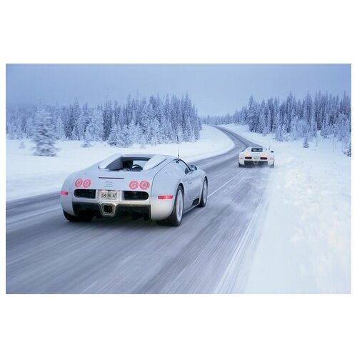 ������ �� ������ ������� (Bugatti) �2 75��. x 50��. 2690�