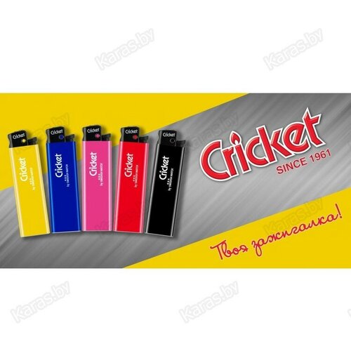    Cricket New Standart,  5 . 255