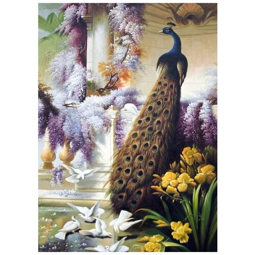      (Peacock) 3 50. x 70.,  2540   