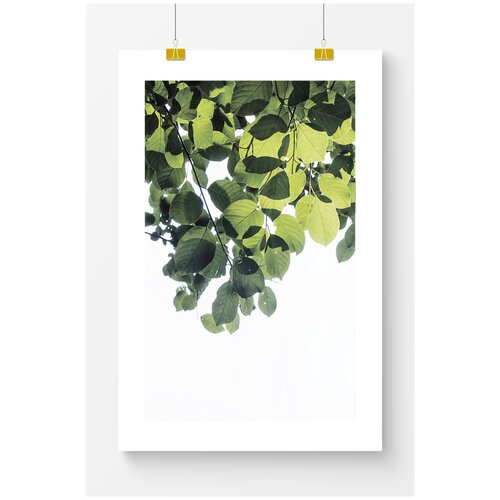������ ��� ��������� Postermarkt ��������� ������� ������, 40�50 ��, � ������ 1169�
