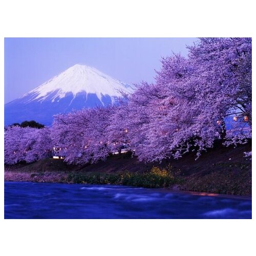      (Mount Fuji) 41. x 30. 1260