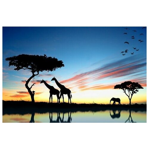       (Wild Animals of Africa) 45. x 30. 1340