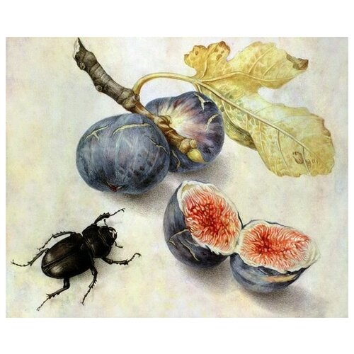 ����������� �� ������ ��� ����� � �������� (Beetle next to fruit) ������� �������� 61��. x 50��. 2300�